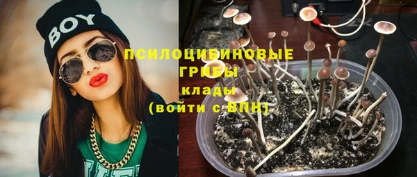 крисы Алексеевка