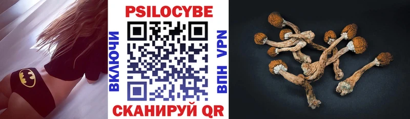 omg Микунь Псилоцибиновые грибы мухоморы