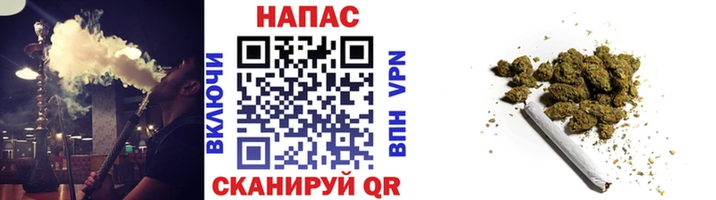 Конопля гибрид  Микунь 